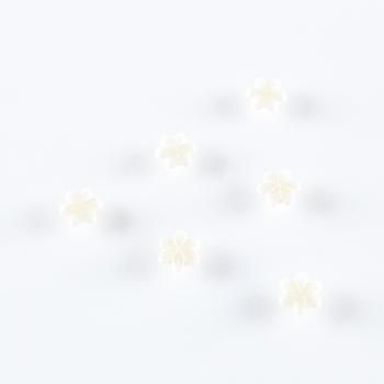 Пуговица на ножке 13 мм пластик 495968 белый