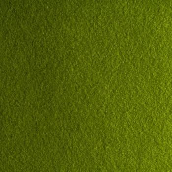 Фетр К33-366 зеленый однотонный